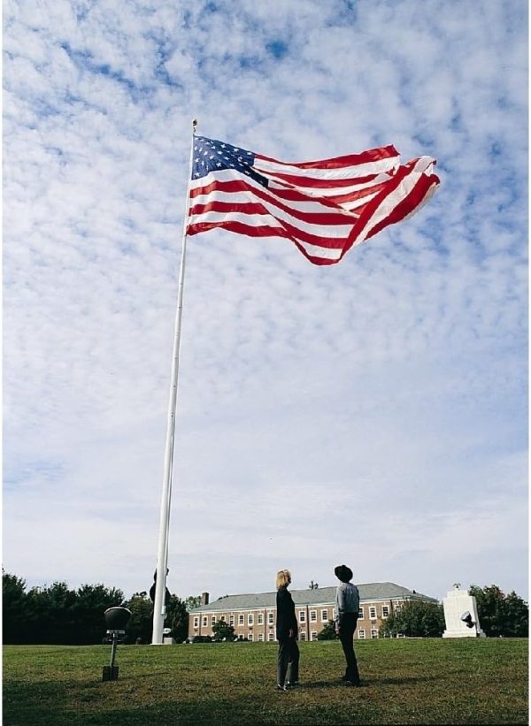 Annin Flagmakers (2750) Tough-Tex American Flag, Made in USA, 8 x 12 Feet, Polyester - Image 2
