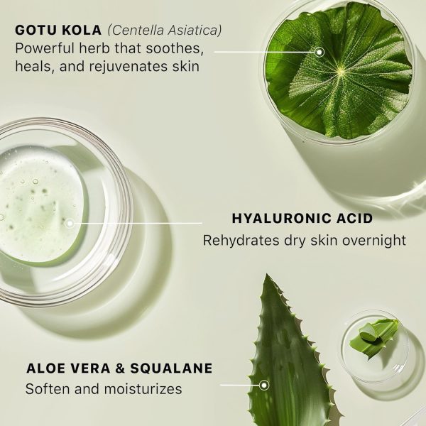 Hyaluronic Acid Moisturizer for Face - USA Made with Organic & Natural Ingredients, Hydrating Anti Aging Face Moisturizer for Dry Skin with Glycerin & Vitamin E, Unscented Anti Wrinkle Cream - Image 5